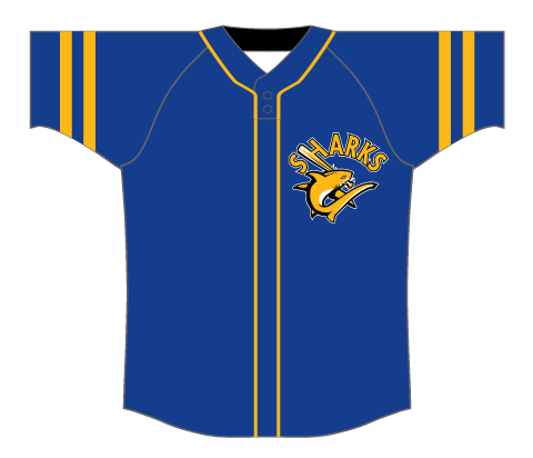 SUBLIMATED FULL BUTTON BASEBALL JERSEY