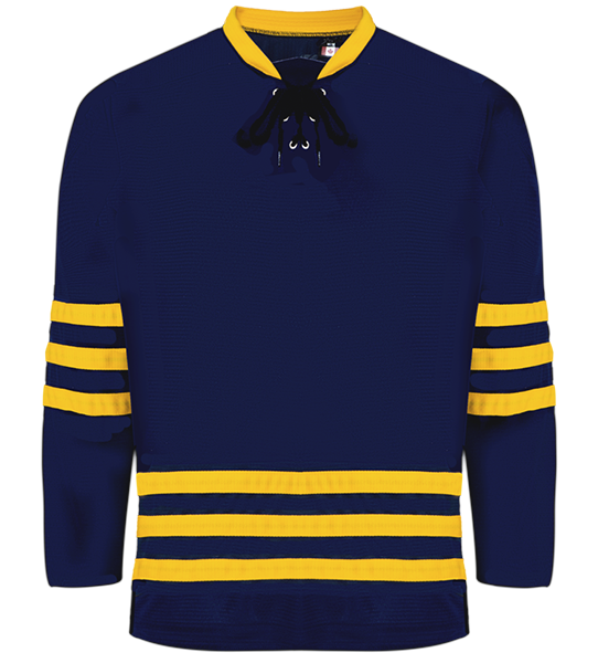 MICHIGAN NAVY
